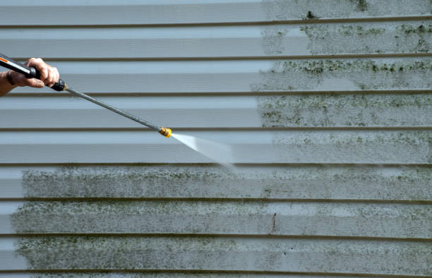 Best Gutter Cleaning and Brightening in Augusta, WI